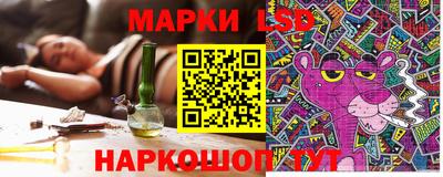 стафф Дубна