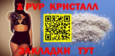стафф Дубна