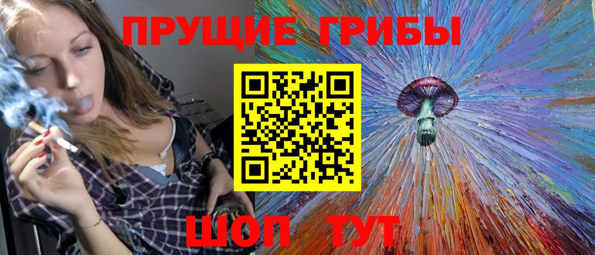 Галлюциногенные грибы Psilocybe Михайловск